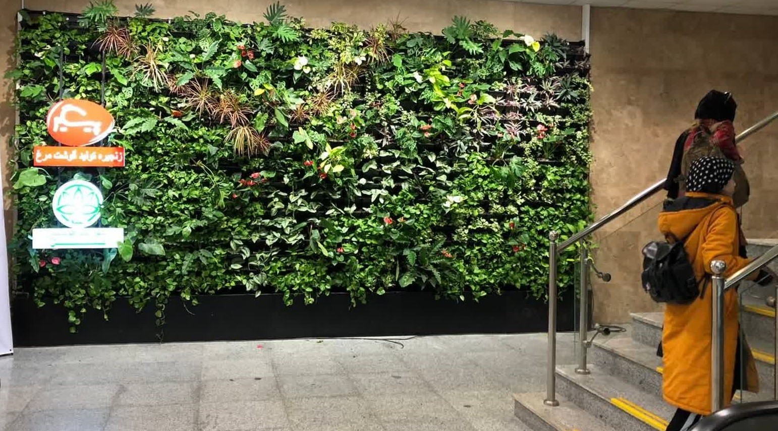 فرودگاه بین‌المللی گرگان مجهز به دیوار سبز هوشمند شد